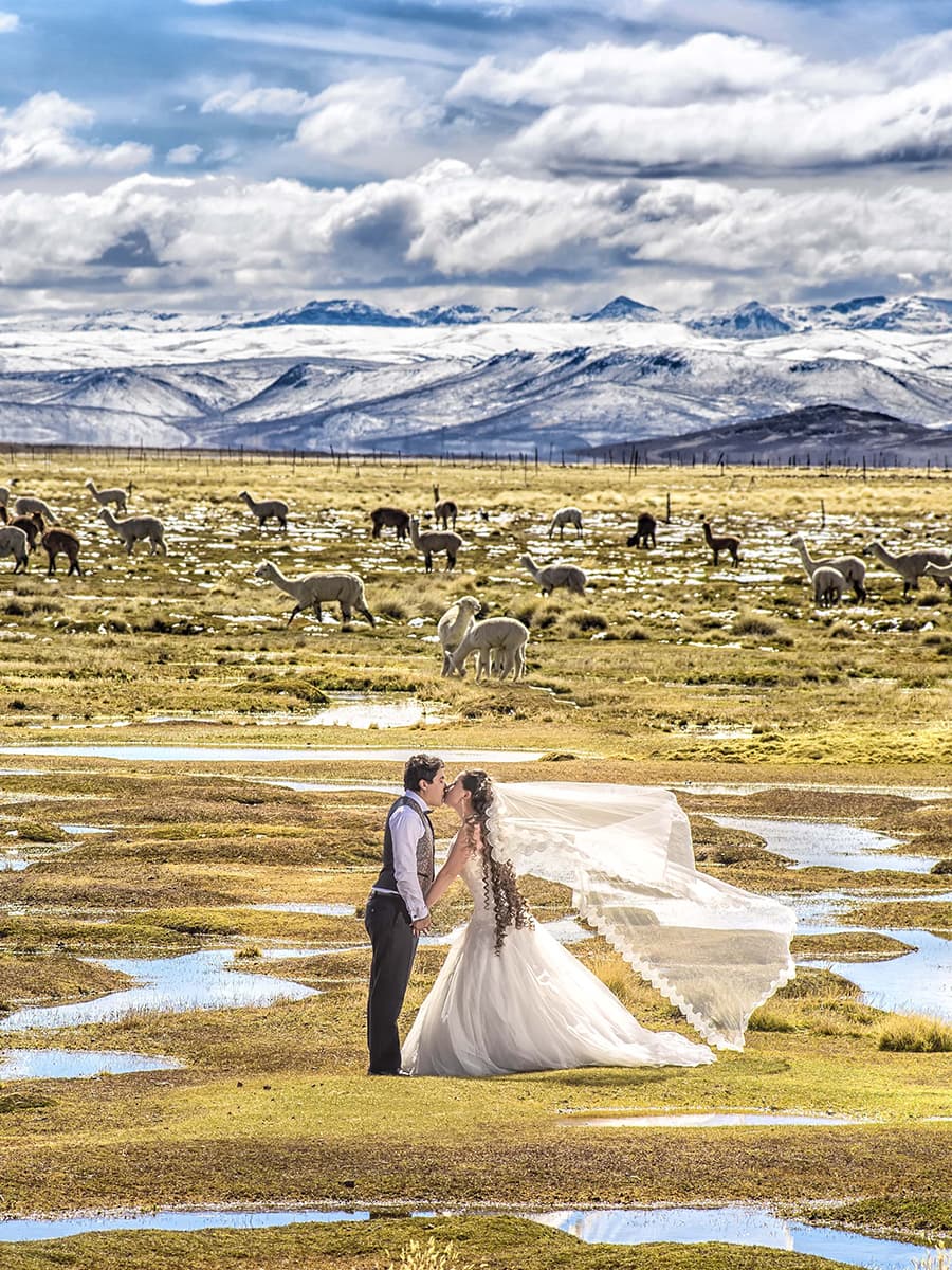 Fotografía de boda, carusel Pierre Zevallos